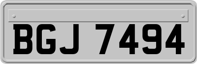 BGJ7494