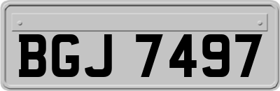 BGJ7497