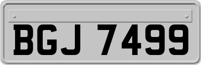 BGJ7499