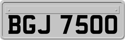 BGJ7500
