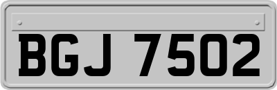 BGJ7502