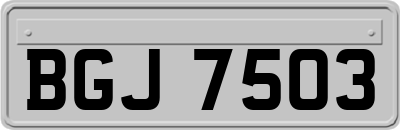 BGJ7503