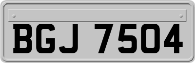 BGJ7504