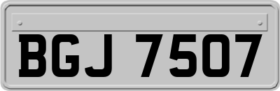 BGJ7507