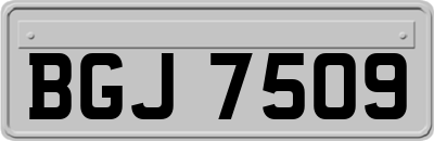 BGJ7509