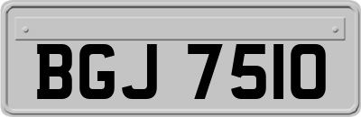 BGJ7510