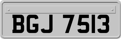 BGJ7513