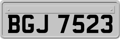 BGJ7523