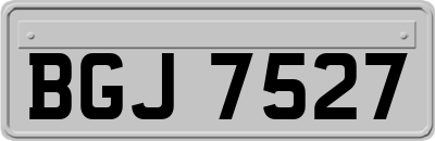 BGJ7527