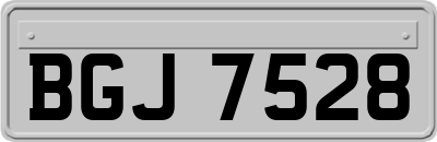 BGJ7528