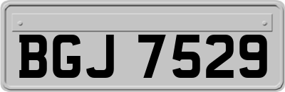 BGJ7529
