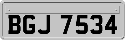 BGJ7534