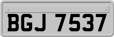 BGJ7537