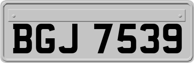 BGJ7539
