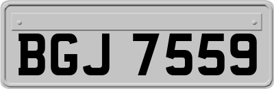 BGJ7559