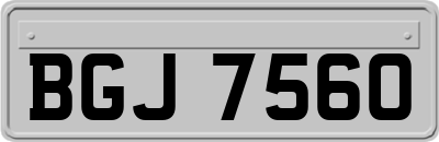 BGJ7560