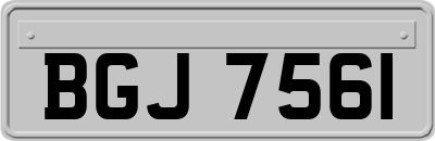 BGJ7561