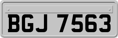 BGJ7563