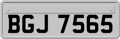 BGJ7565
