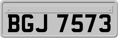 BGJ7573