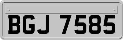 BGJ7585