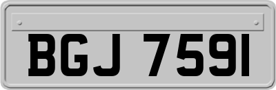BGJ7591