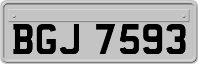 BGJ7593