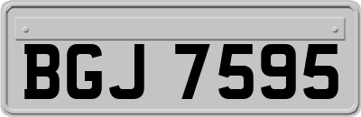 BGJ7595
