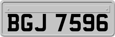 BGJ7596
