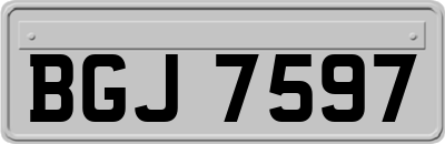 BGJ7597