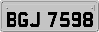 BGJ7598