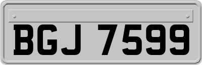 BGJ7599