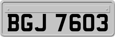 BGJ7603