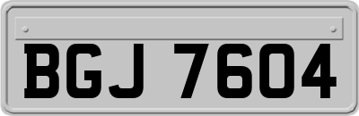 BGJ7604