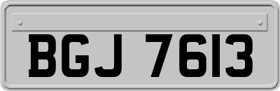 BGJ7613