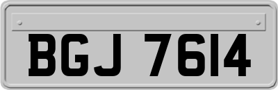 BGJ7614
