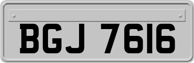 BGJ7616