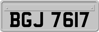 BGJ7617