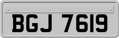 BGJ7619