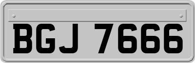 BGJ7666