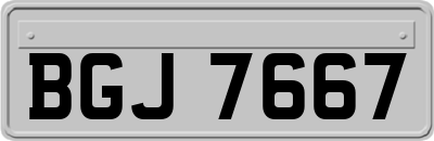 BGJ7667