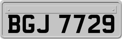 BGJ7729