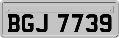 BGJ7739