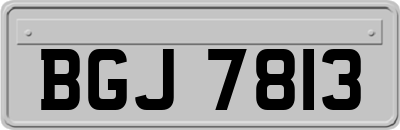 BGJ7813