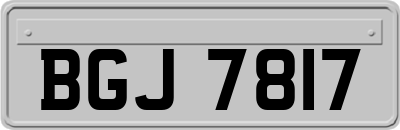 BGJ7817