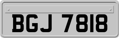 BGJ7818