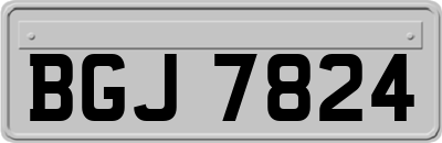 BGJ7824