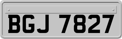 BGJ7827