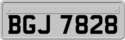 BGJ7828