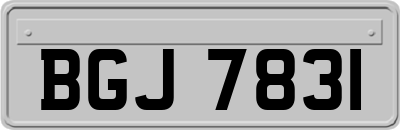 BGJ7831